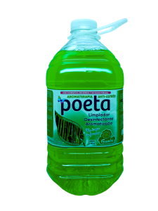 Poeta